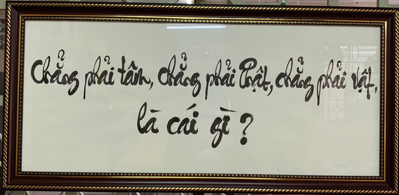 cac cau hoi